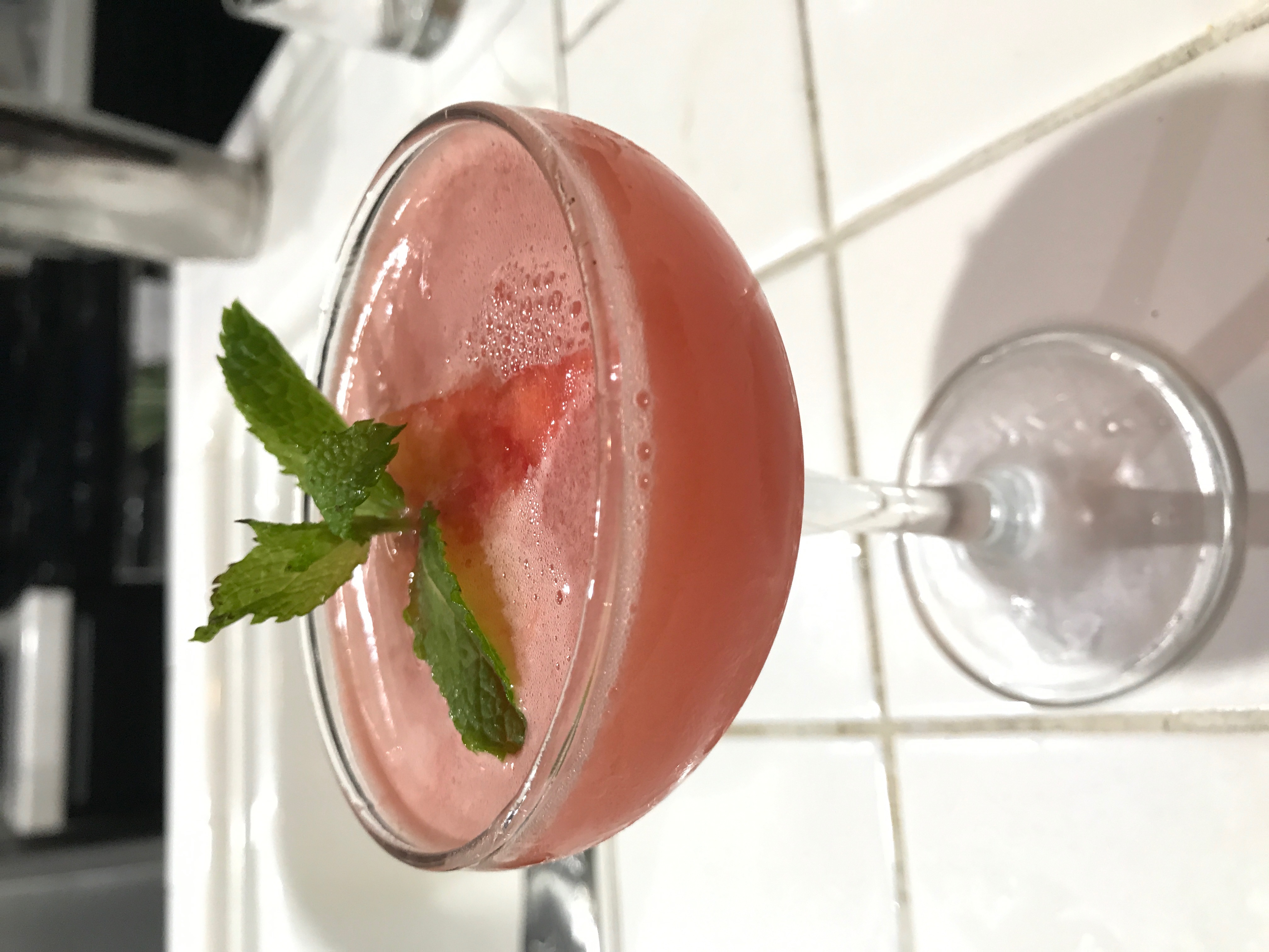 Watermelon Mint Improvisation